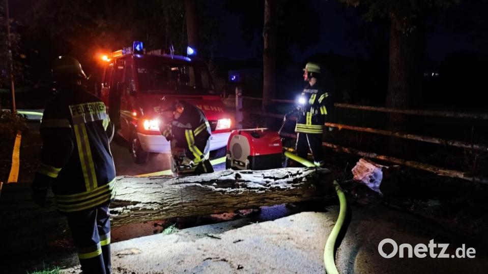 Ein umgefallener Baum versperrt die Zufahrt zum Einsatzort Bild: hme