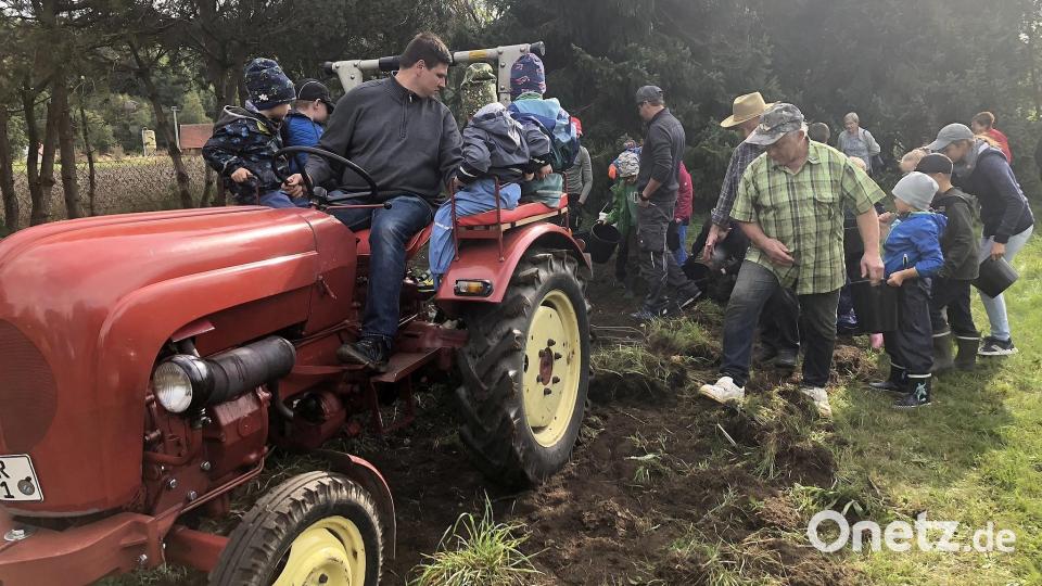 Mit dabei waren auch die schon etwas älteren Falkenberger, um sich an den Herbst auf den Feldern in früheren Zeiten zu erinnern. Bild: wro