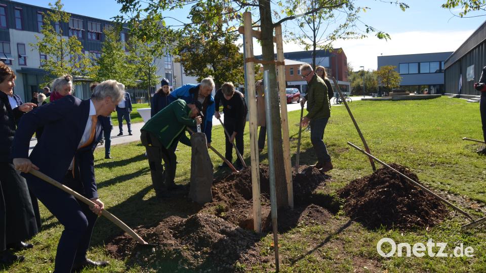 Nach dem Festakt durfte bei der Pflanzung der Beuys-Eiche angepackt werden. Links Professor Dr. Clemens Bulitta, Präsident der OTH Amberg-Weiden, der das Kunstprojekt von Beginn an unterstützte. Bild: dob