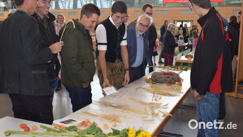 Das bestimmen der Getreidesorten war keine leichte Aufgabe. Bild: bnr