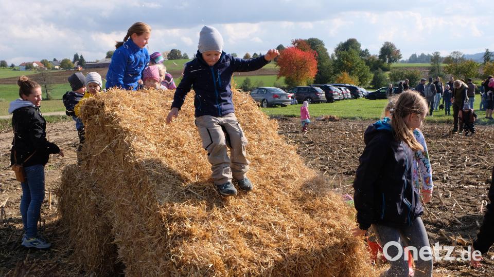 Riesengaudi auf dem Kartoffelacker. Die Kinder genießen den Nachmittag in der freien Natur. Vor allem die Strohballenrutsche hat den Kindern angetan. Bild: le