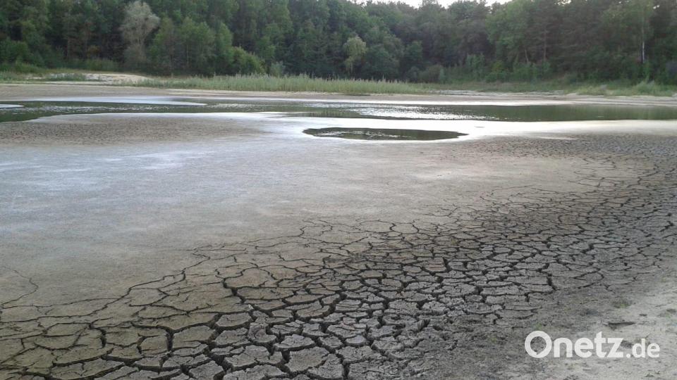 Die Sandgrube 1 musste abgefischt werden. Hier hatte kein Wasserbewohner eine Chance zu überleben. Bild: oe