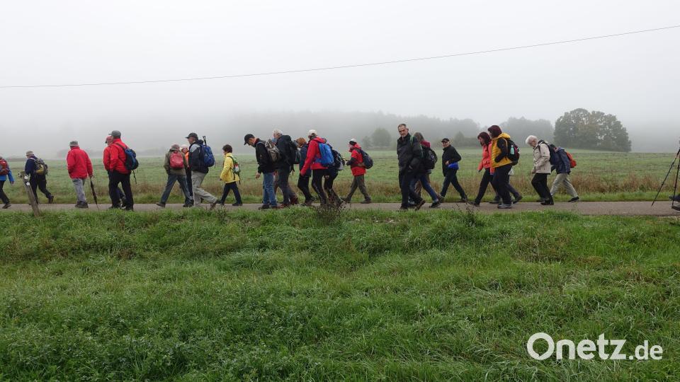 Regen und Nebel begleiteten die Wanderer. Bild: Christl Gaigl/exb