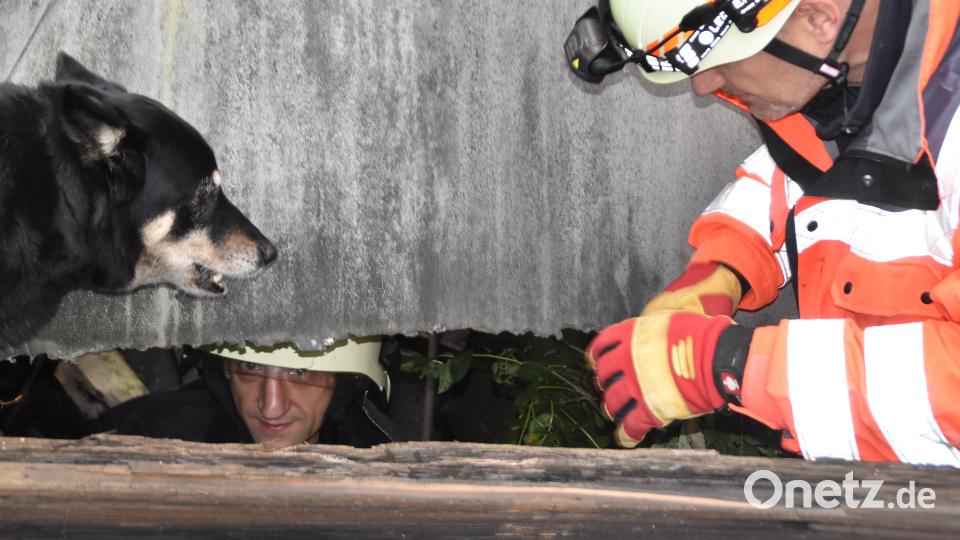 &quot;Hatti&quot; hat einen &quot;Verschütteten&quot; gefunden. Der Rettungshund von Prüfer Frank Singer (München) hat sich schon vielfach im Ernstfall bewährt. Bild: hcz