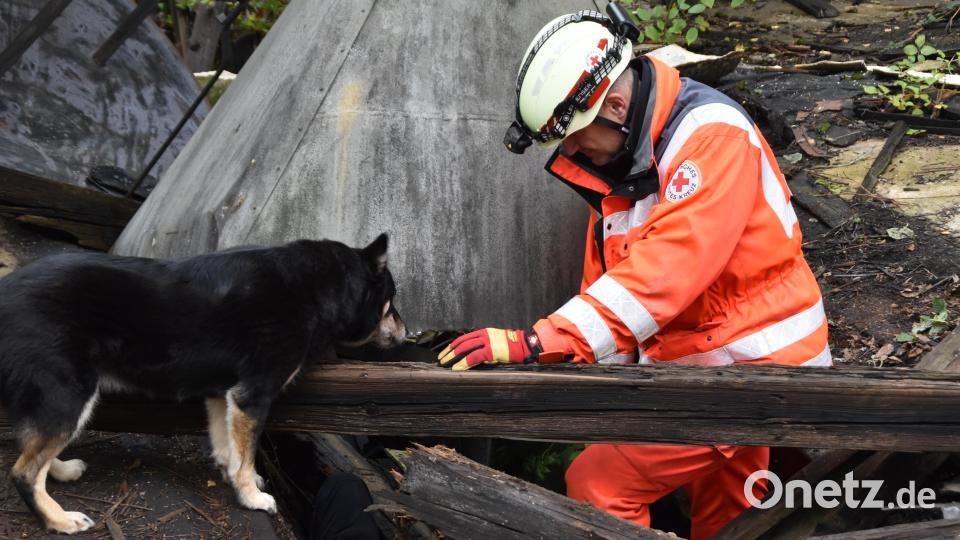Rettungshund &quot;Hatti&quot; und sein Hundeführer Frank Singer aus München bei der Arbeit. Bild: hcz
