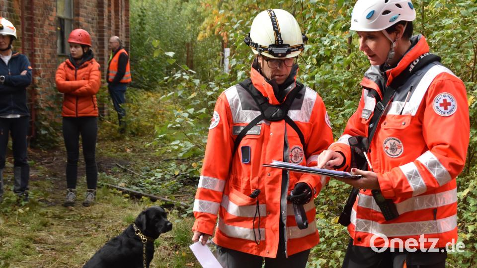 Die stellvertretende Weidener Staffelleiterin Nicole Liebeskind (von rechts) weist Metha Lahn aus Traunstein bei der &quot;Trümmerprüfung&quot; in das Szenario ein. Lahns schwarzer Labrador wartet derweil geduldig auf seinen Einsatz. Bild: hcz