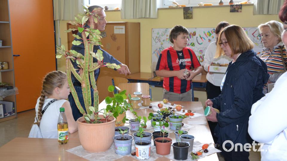 An verschiedenen Ständen im Schulhaus gibt es ein besonderes Angebot. Bild: Doris Pensky/exb