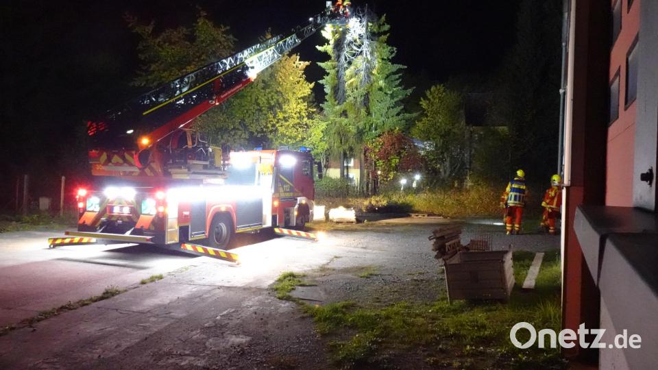 Von einem Gewerbegrundstück gegenüber dem Altenstädter Großparkplatz fuhr die Neustädter Feuerwehr mit der Drehleiter an zwei Bäume, die zuvor lichterloh brannten. Bild: ui