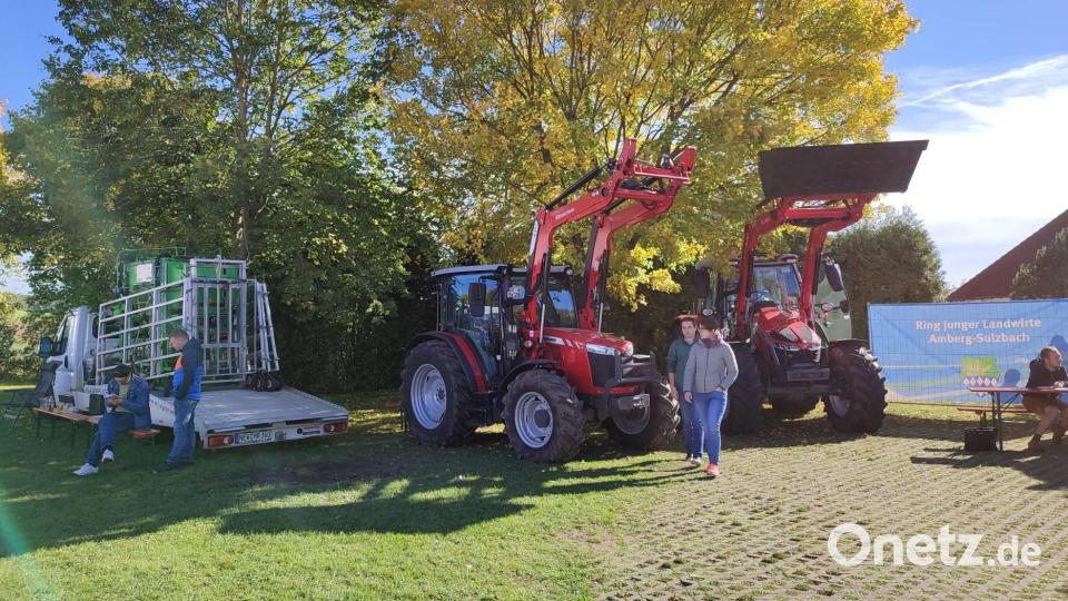 Am Nachmittag gab es viele Informationen zum Thema Landwirtschaft. Bild: fdl