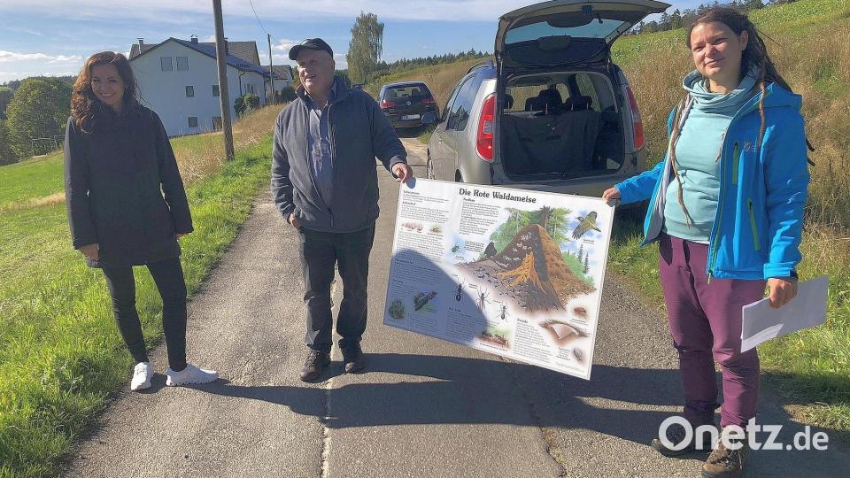Konrad Zier (Zweiter von rechts) vom Landesbund für Vogelschutz hatte auch eine Informationstafel mitgebracht, die das Leben der Roten Waldameise beleuchtet. Die Tafel wird, so versicherten Bürgermeisterin Margit Bayer (links) und Biodiversitätsberaterin Cornelia Straubinger (rechts) &quot;an einer dafür geeigneten Stelle im Stadtbereich Waldershof angebracht&quot;. Bild: wro