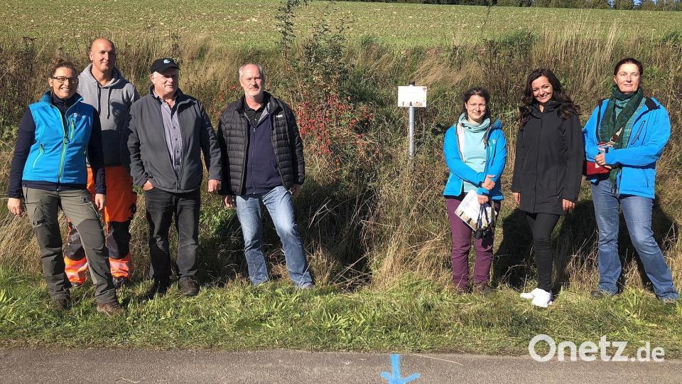 Bürgermeisterin Margit Bayer (Zweite von rechts) hatte zur Auftaktveranstaltung in Sachen Ameisenschutz eingeladen. Mit dabei Claudia Fuchs, Bauhofleiter Markus Kremser, Konrad Zier, Thomas Döhler (von links) sowie Ursula Schimmel (rechts) und Cornelia Straubinger (Dritte von rechts). Bild: wro