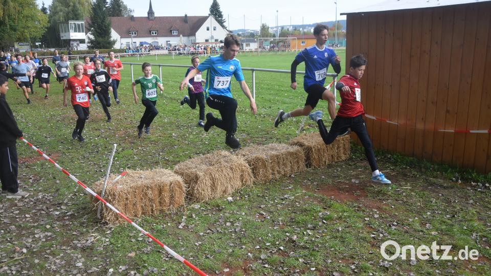 Beim Crosslauf gilt es auch, Hindernisse zu nehmen. Bild: fz