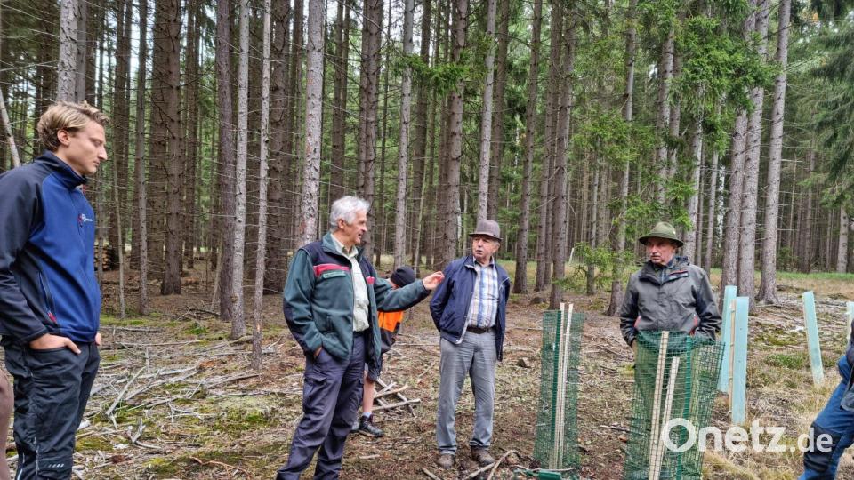 Revierförster Karl-Heinz Melzer erläuterte mögliche Hürden bei der Anpflanzung. Bild: lym