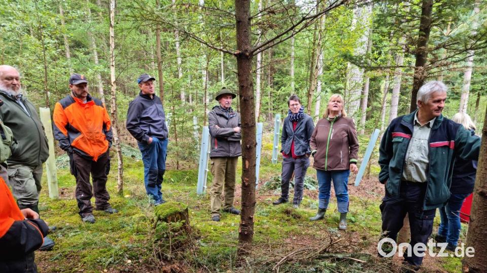 Auch Totholz und Asthaufen werden von vielen Lebewesen bewohnt und sind für das Ökosystem förderlich. Bild: lym