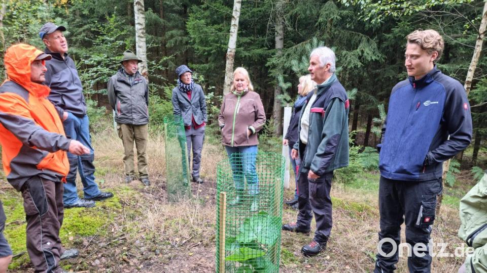 Karl-Heinz Melzer (Zweiter von rechts) gab den Interessierten wertvolle Tipps zum Waldumbau. Eine rege Diskussion war stets erwünscht. Bild: lym