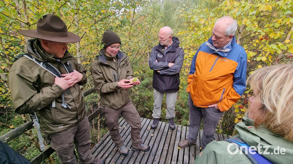 Die Naturparkranger Cornelia Greiner (Zweite von links) und Jonas Ständer (links) zeigten den Teilnehmern der Exkursion im Steinwald auch einen Pflanzenkopf eines Torfmooses. Bild: bsc