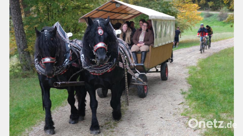 Prächtige Percheron-Pferde zogen zwei Kutschen mit Zuschauern zu den fünf Beobachtungsplätzen. Einige Radfahrer folgten. Bild: usc