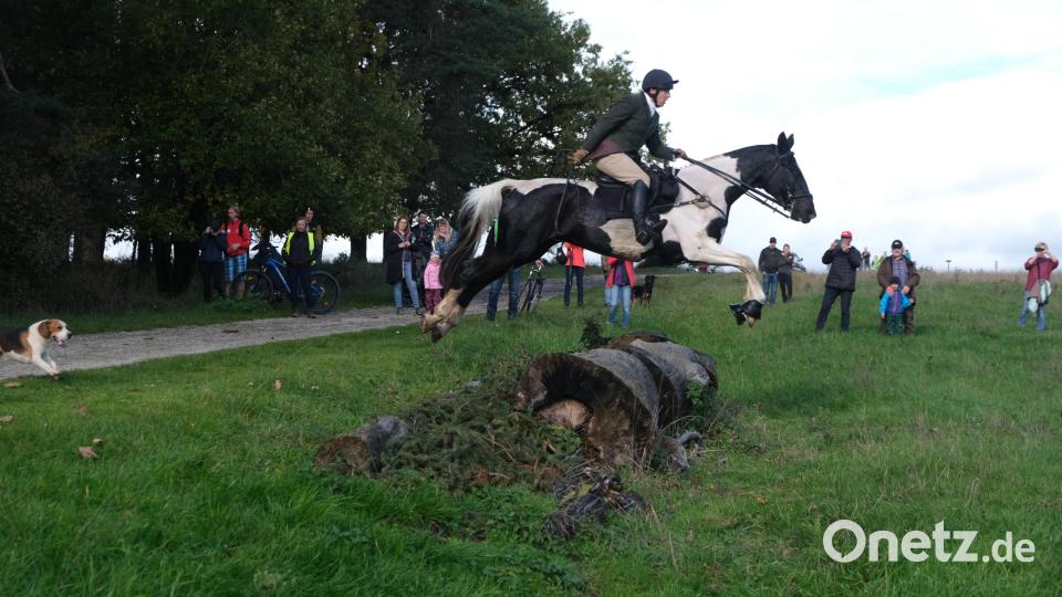 Mehr als 20 Hindernisse, meist dicke Eichenstämme, galt es zu überwinden. Bild: usc