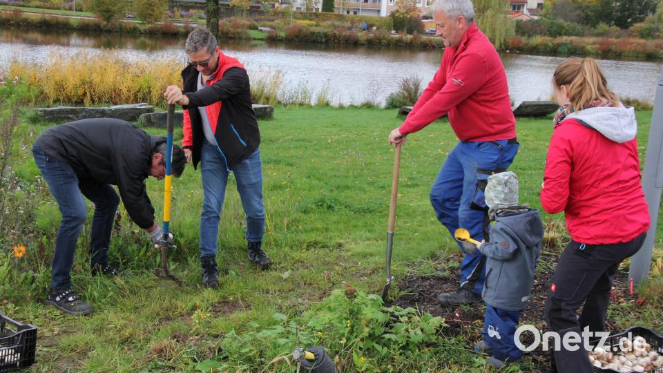 Ob Jung oder Alt, alle Generationen machten bei der Pflanzaktion mit. Bild: kro