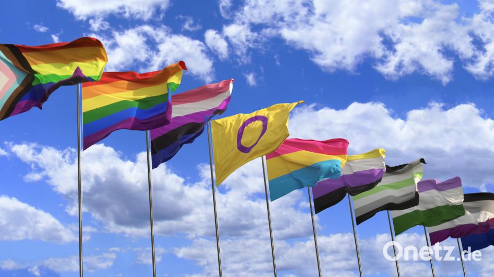 Mitglieder der queeren Community identifizieren sich über eine eigene Flagge. Eine Auswahl welche Flagge was bedeutet, haben wir hier zusammengestellt. Bild: Negro Elkha/Adobe Stock