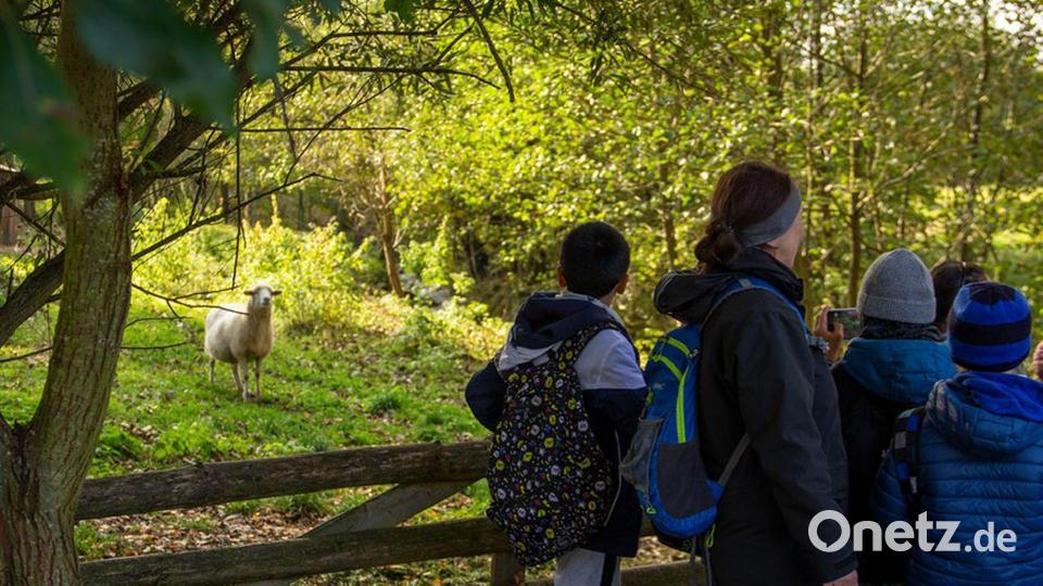 Auch Tiere sind im mittelalterlichen Geschichtspark zu bewundern. Bild: Sevenhills Agentur für Werbung, Bamberg/exb
