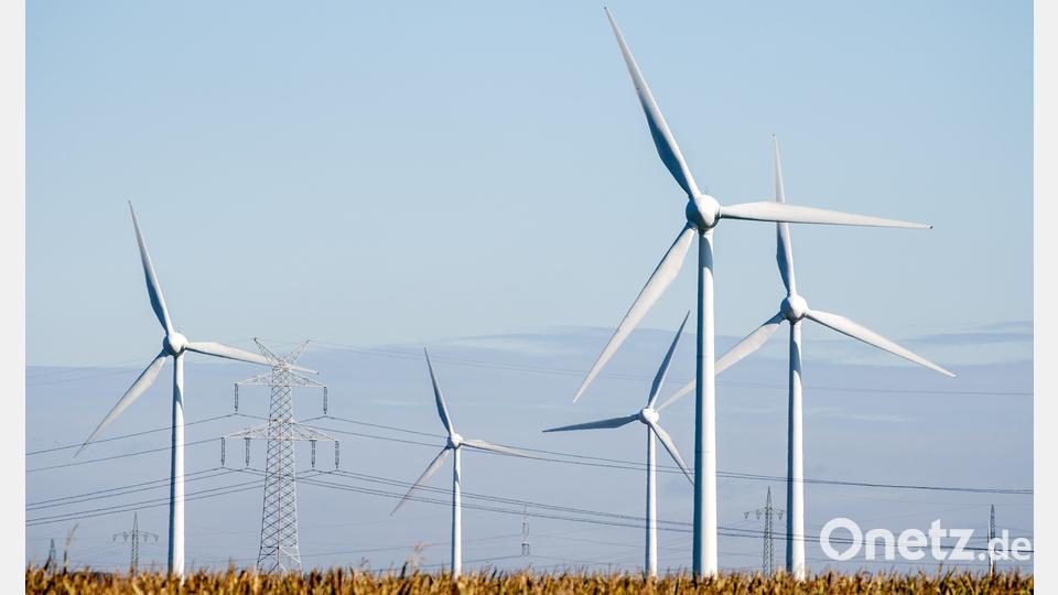 Auch weiterhin gegen den Bau von Windrädern in der Region einsetzen will sich die Bürgeraktion &quot;Gegenwind&quot;. Das wurde bei der Jahreshauptversammlung am Mittwoch in Waldsassen deutlich. Symbolbild: Hauke-Christian Dittrich/dpa
