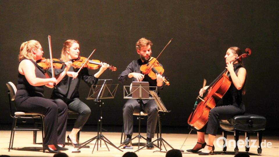 Das Barbican Quartet sorgt für einen grandiosen Auftakt der neuen Saison der Weidener Meisterkonzerte. Bild: stg