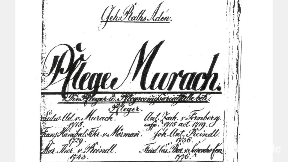 Die Quellensammlungen machen deutlich, dass bereits zur Zeit der Pflegämter Verwaltungsvorgänge und Rechtsangelegenheiten in einem aufwendigen Schriftverkehr bearbeitet wurden. Bild: lg