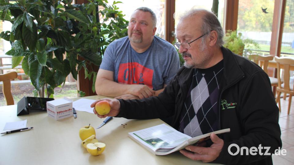 Der Pomologe Jürgen Pompe mit Unterstützung des stellvertretenden Vorsitzenden des Schnaittenbacher Obst- und Gartenbauvereins Bernhard Kraus nahmen sich einen ganzen Tag für die Obstbaumbesitzer Zeit, um deren mitgebrachten Äpfel und Birnen zu bestimmen. Bild: ads