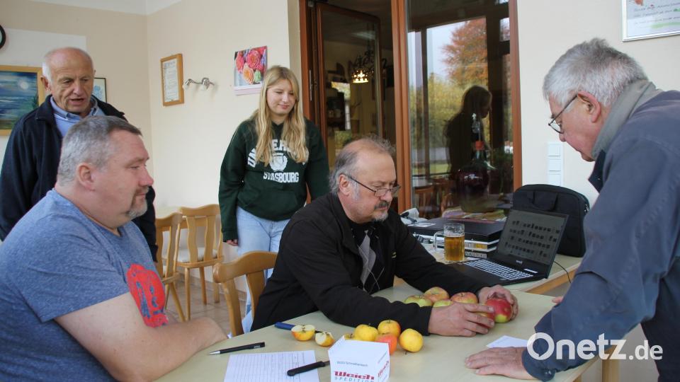 Der Pomologe Jürgen Pompe (Mitte) bestimmt, unterstützt vom stellvertretenden Vorsitzenden des örtlichen Obst- und Gartenbauvereins Bernhard Kraus (links), in Schnaittenbach über 100 Apfelsorten. Bild: ads