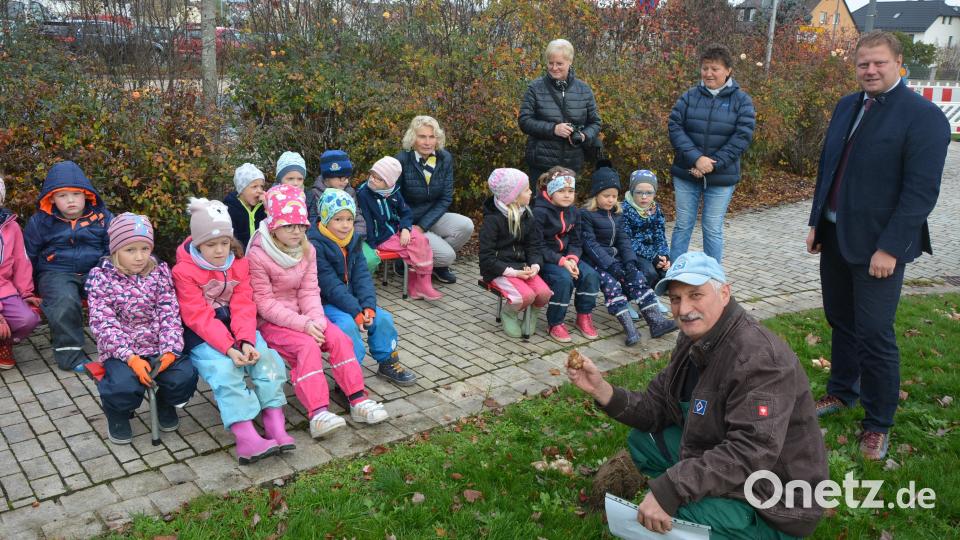Stadtgärtner Willi Kilian (hockend) erklärte den Kindern eine Blumenzwiebel. Vorbeigeschaut hat auch Bürgermeister Stefan Grillmeier (rechts). Bild: jr