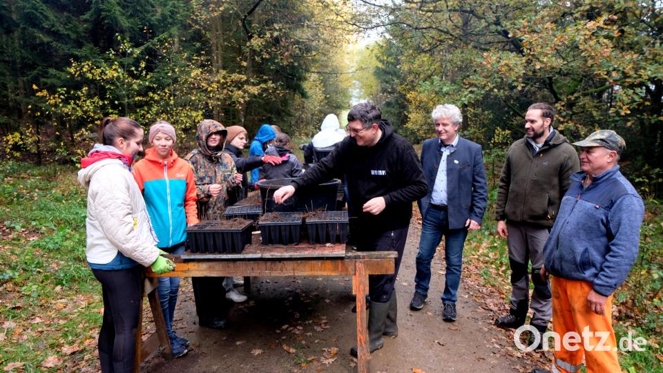Mithilfe leisten auch Bauhofarbeiter Siegfried Schell, Forstamtmann Sebastian Höllerer, Bürgermeister Robert Lindner und Oberstudienrat Dr. Frank Uhl (von rechts). Bild: le