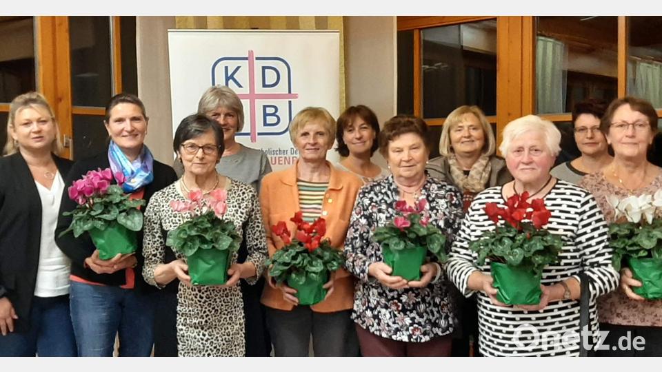 Der Katholische Frauenbund Hirschau ehrt langjährige und verdiente Mitglieder (vorn, von links): stellvertretende Diözesanvorsitzende Kerstin Aufschneider, Irmgard Sellmeyer, Elisabeth Ernstberger, Rosmarie Staudigl, Anna Gebhard, Emma Hubner und Marianne Meißner; hinten (von links): Maria Maier, Vorsitzende Angela Schreiner, Edith Härtl und Vorsitzende. Ulrike Mutzbauer. Bild: u