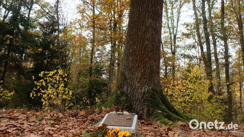 Auch im neu angelegten Ruhewald gedenken die Gläubigen ihrer verstorbenen Angehörigen. Bild: do
