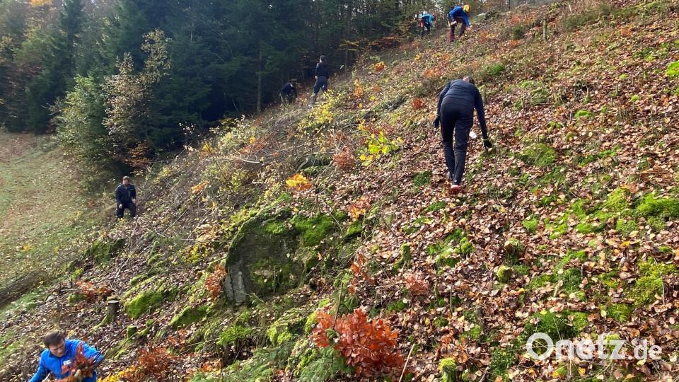 Die JU ermöglicht durch ihre Freischneideaktion eine freie Sicht auf Flossenbürg indem sie den steilen Hang unterhalb vom Aussichtspunkt vom Wildwuchs der Sträucher befreit. Bild: cro