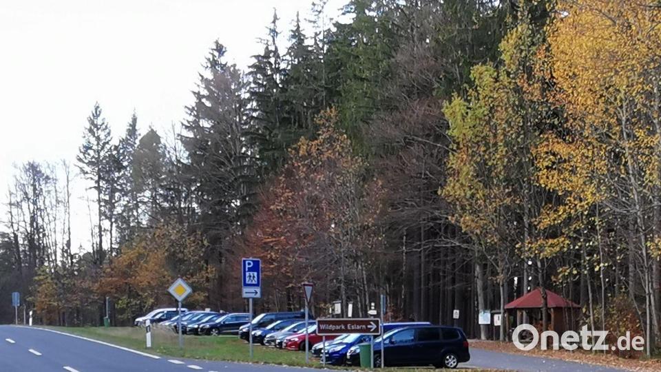 Nach Aufhebung der Straßensperre in Richtung Schönsee nutzten viele Familien am Wildpark die Gelegenheit zu einem Besuch. Bild: gz