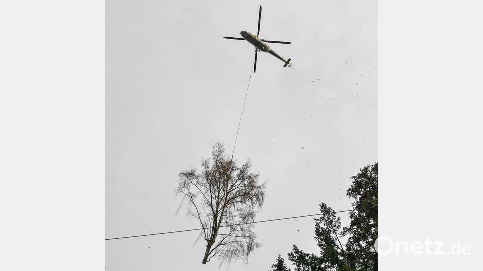 Rund 1,6 Tonnen kann der Helikopter problemlos anheben. Bild: Florian Miedl/fph