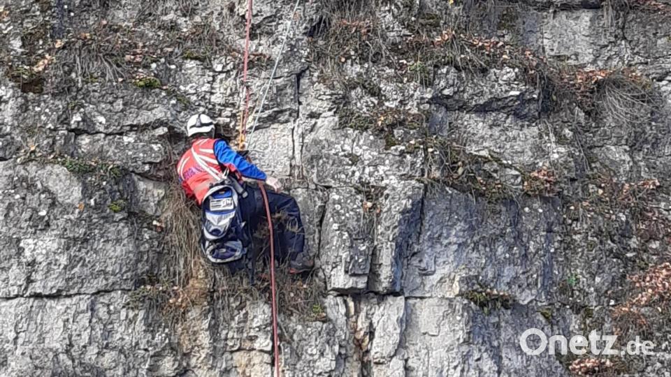 Der Bergwacht und der FFW Neuhaus-Pegnitz ist es zu verdanken, dass eine Frau aus Neuhaus ihren Kater Moro wieder in die Arme schließen kann. Bild: FFW Neuhaus/Pegnitz (exb)