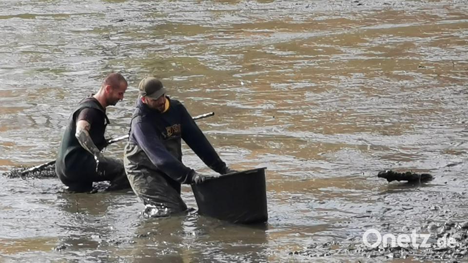 Der Schlamm macht den Mitglieder vom Fischereiverein schwer zu schaffen. Bild: gz