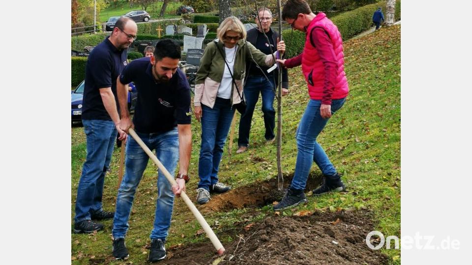 Baumpflanzaktion von OGV-Högen und Feuerwehr Högen/Haunritz Bild: Susanne Herrmann/exb