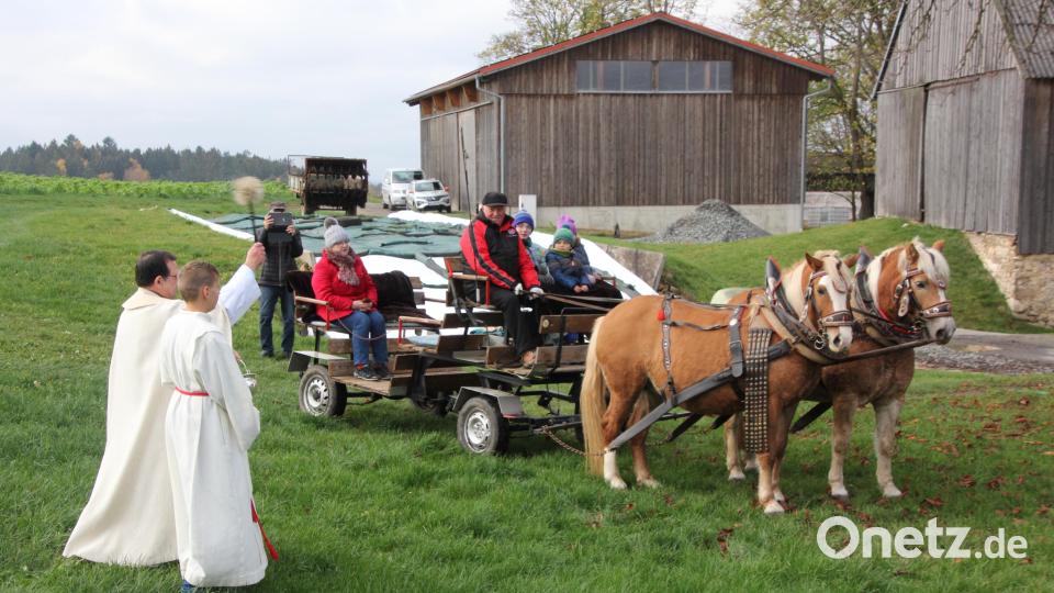 Viele Pferdeliebhaber und -freunde waren zum Leonhardi-Fest eigens mit ihren Tieren nach Marchaney gekommen. Sogar eine Pferdekutsche war bei der Pferdesegnung anzutreffen. Bild: kro