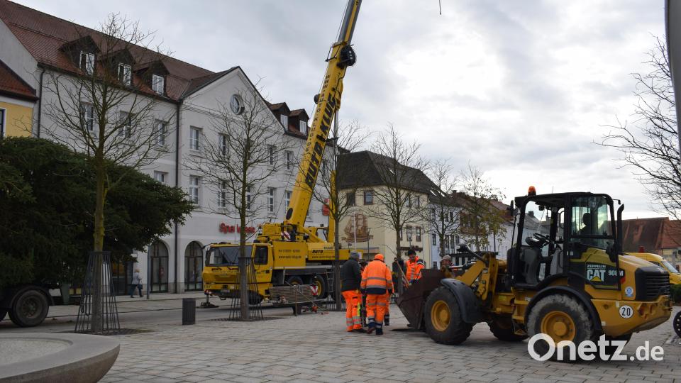 Gleich in der Früh stand ein Dutzend Bauhof-Mitarbeiter parat, die Fichte im Garten der Familie Müller zu fällen. Bild: szl