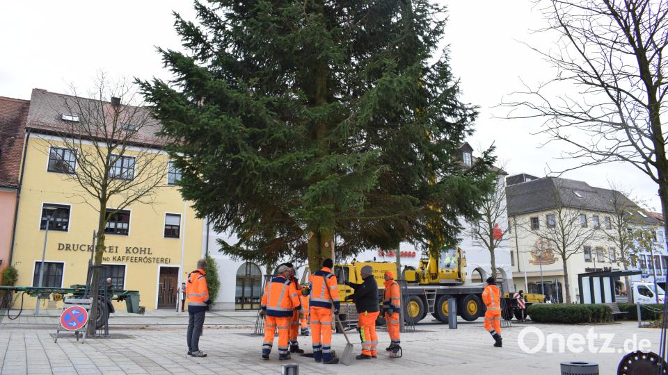 Gut zwei Wochen vor dem ersten Advent stellten Bauhofmitarbeiter der Stadt Tirschenreuth den Christbaum auf dem Marktplatz vor dem Rathaus auf. Bild: szl