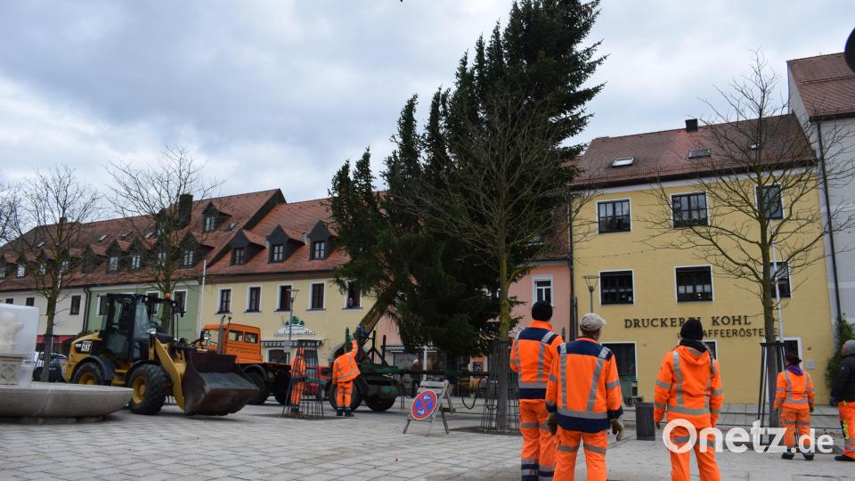 Gut zwei Wochen vor dem ersten Advent stellten Bauhofmitarbeiter der Stadt Tirschenreuth den Christbaum auf dem Marktplatz vor dem Rathaus auf: Eine 16 Meter hohe und 1,8 Tonnen schwere Fichte der Familie Müller. Mit 1200 Lämpchen geschmückt, sorgt der Weihnachtsbaum für adventliche Stimmung. Bild: szl