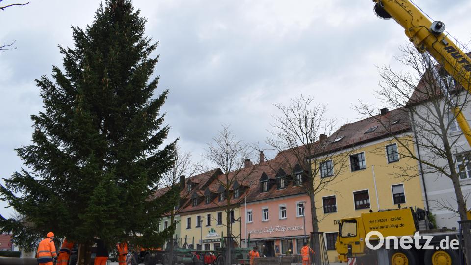 Binnen 15 Minuten stand der 16 Meter hohe Christbaum ohne Zwischenfälle an seinem vorgesehen Platz. Bild: szl