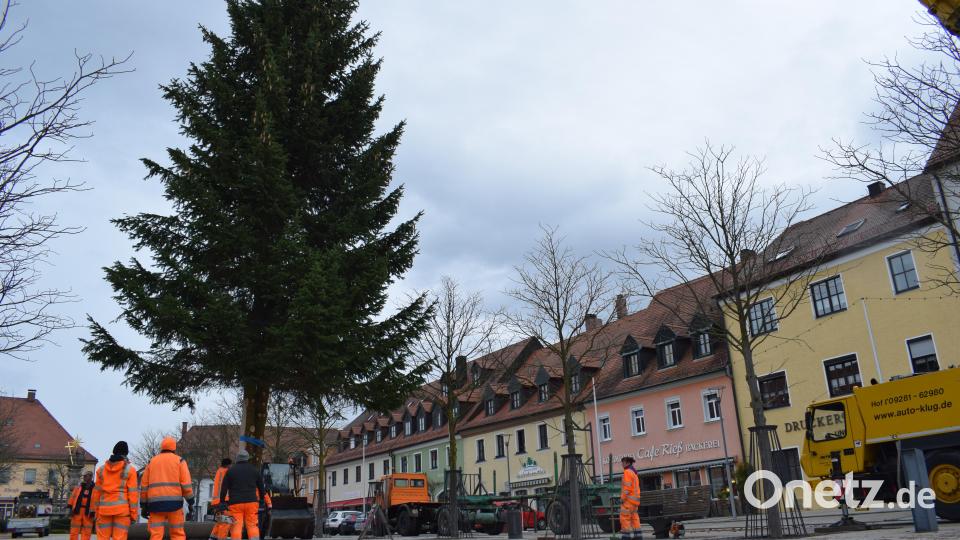 Mit einer Schlaufe wurde die der Baum an einen Kran gehängt, der sie von der Ladefläche in das 1,60 Meter tiefe Loch hievte. Dabei gingen nur ein paar Tannenzapfen verloren, die die Spitze des Baumes zierten. Bild: szl