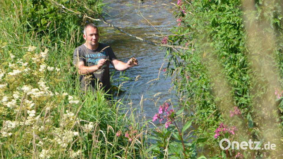 Hubert Reil aus Zieglmühle bei Lämersdorf entdeckte vor gut einem Jahr den Umweltfrevel und brachte ihn zur Anzeige. Archivbild: dob