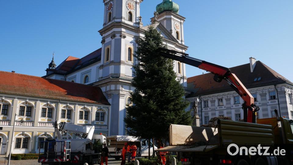 Mit Hilfe eines Kranfahrzeugs der Firma Schuller in Zirkenreuth wurde der Christbaum auf dem Basilikaplatz Waldsassen angeliefert und aufgestellt. Bild: hmr