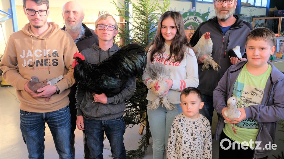 Trotz des teilweisen Ausstellungsverbotes gab es bei der Lokalschau im Kleintierzüchterheim in Tremmersdorf einige Erfolgserlebnisse. Unser Bild zeigt die Sieger Dominik Held, Ausstellungsleiter Alexander Böhm, Timo Weidner, Jasmin Prechtl, Thomas Edl und Alexander Prechtl mit ihren preisgekrönten Schätzen (von links). Bild: do