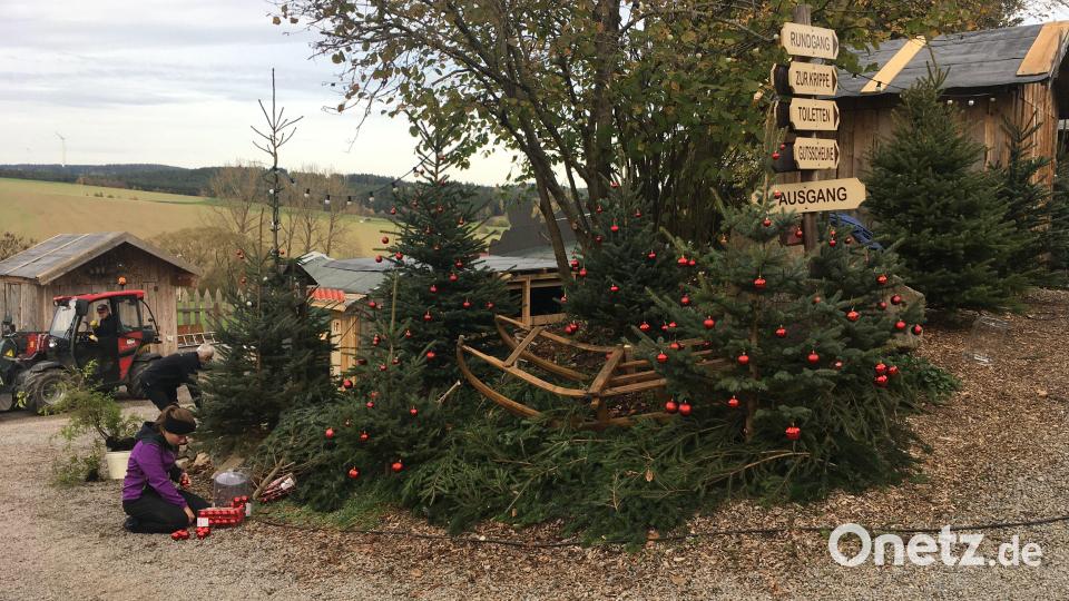 Die ersten Christbäume werden bereits geschmückt. Bild: ihl